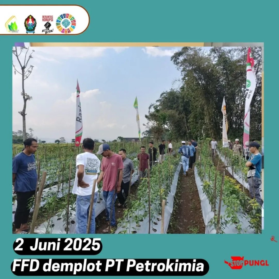 Berita